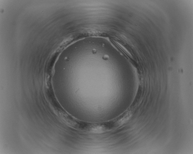 X0000076450456200610202339