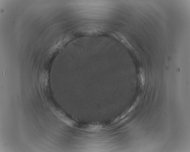 X0000076450458200610202339