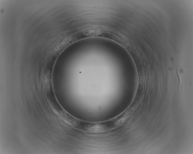 X0000076450460200610202339