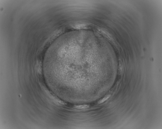 X0000076450461200610202339