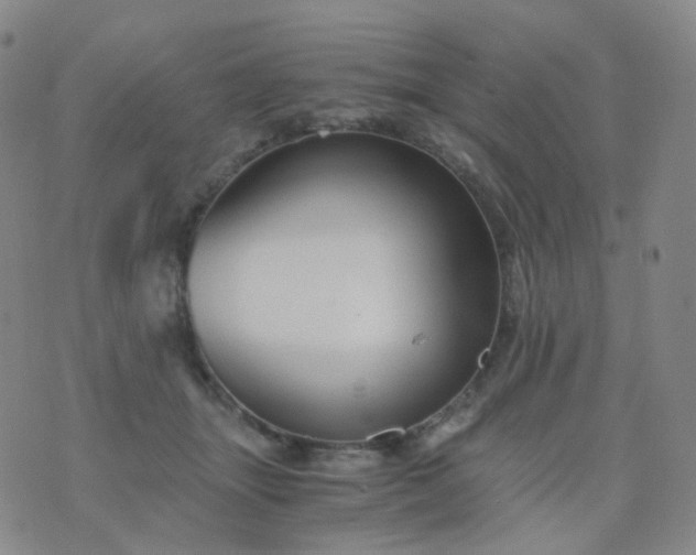 X0000076450463200610202339