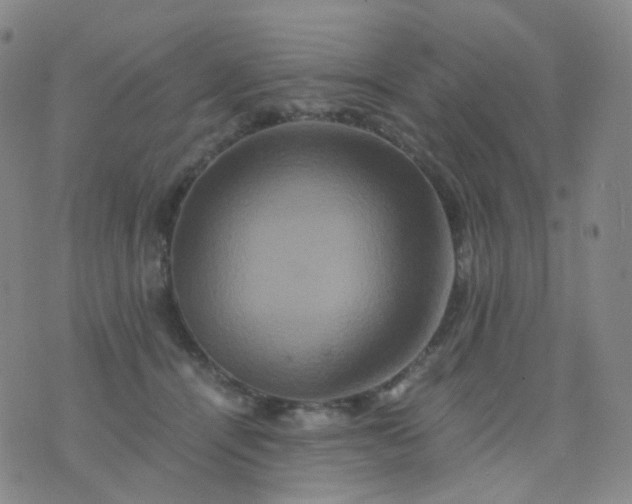 X0000076450464200610202339