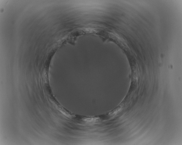 X0000076450465200610202339