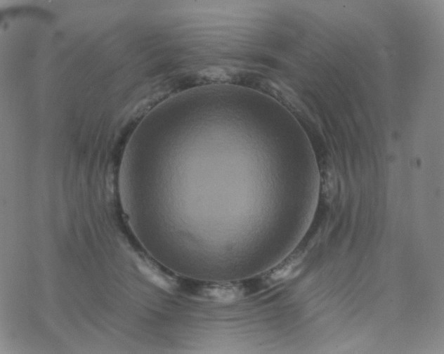 X0000076450466200610202339