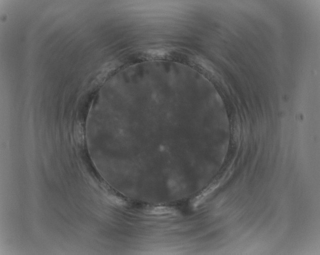 X0000076450467200610202339