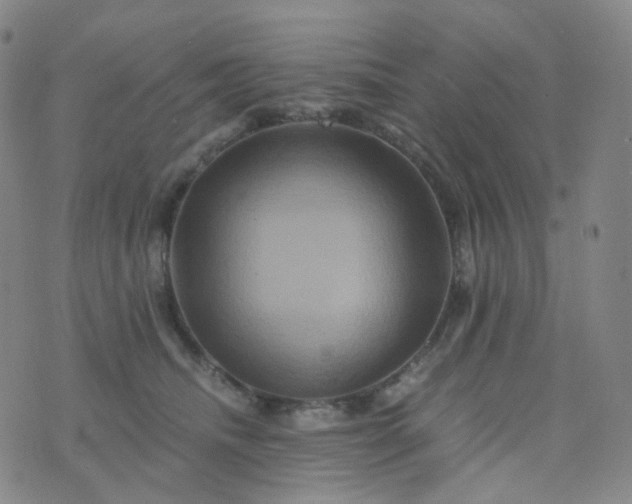 X0000076450468200610202339