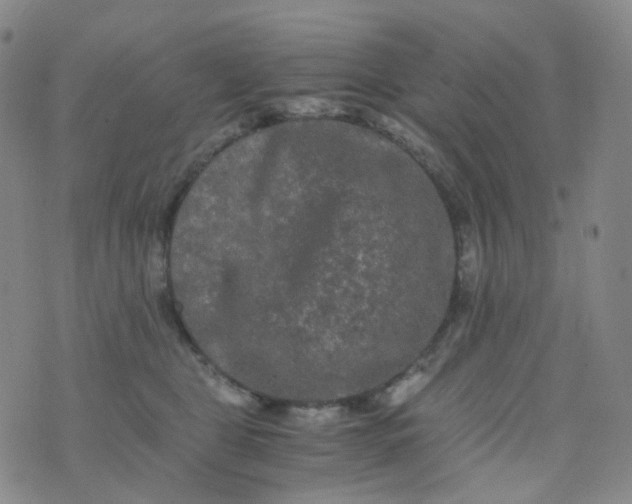 X0000076450469200610202339