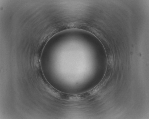 X0000076450470200610202339