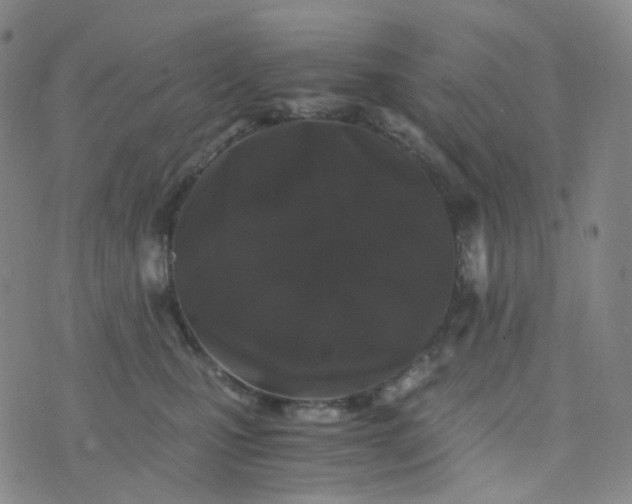 X0000076450471200610202339