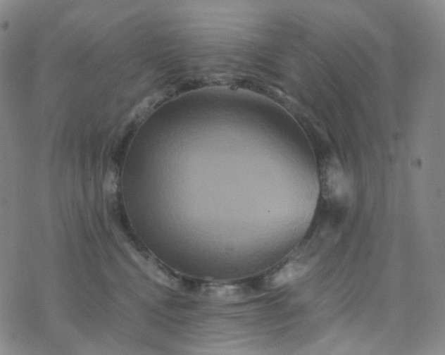 X0000076450472200610202339