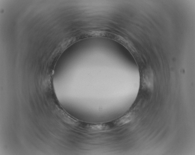 X0000076450473200610202339