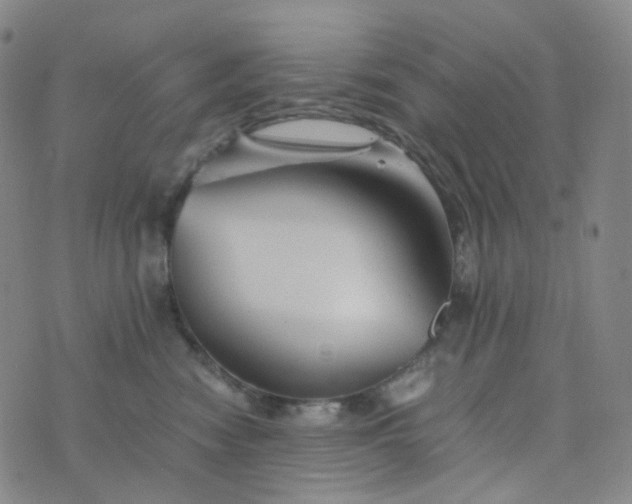 X0000076450474200610202339