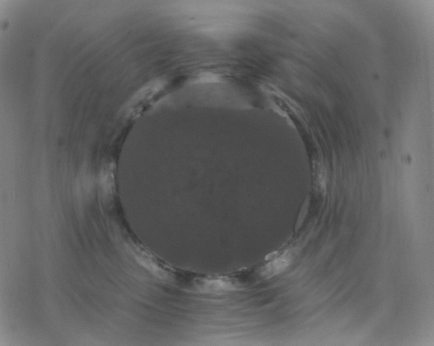 X0000076450475200610202339