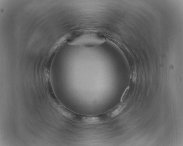 X0000076450476200610202339