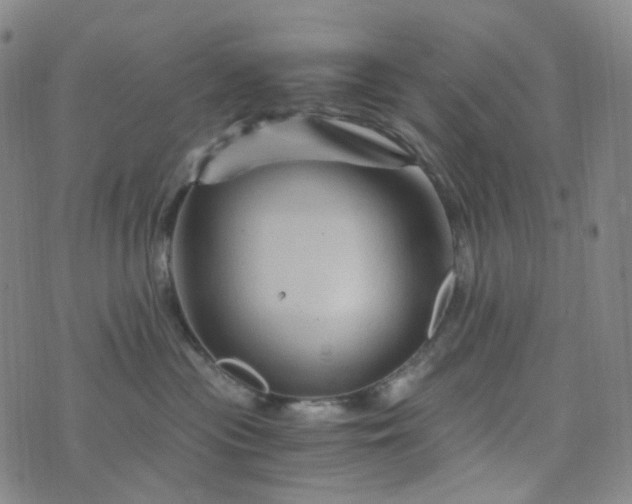 X0000076450477200610202339