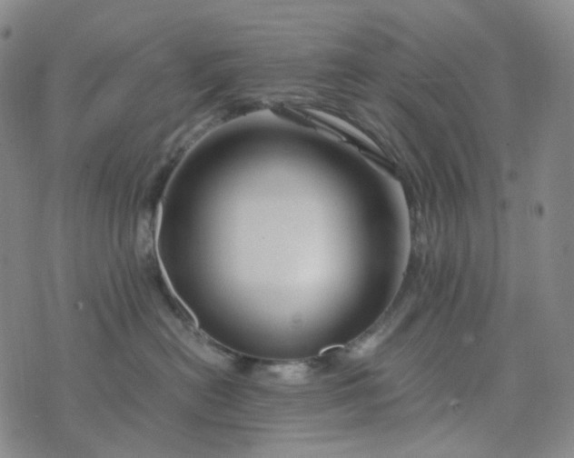 X0000076450478200610202339