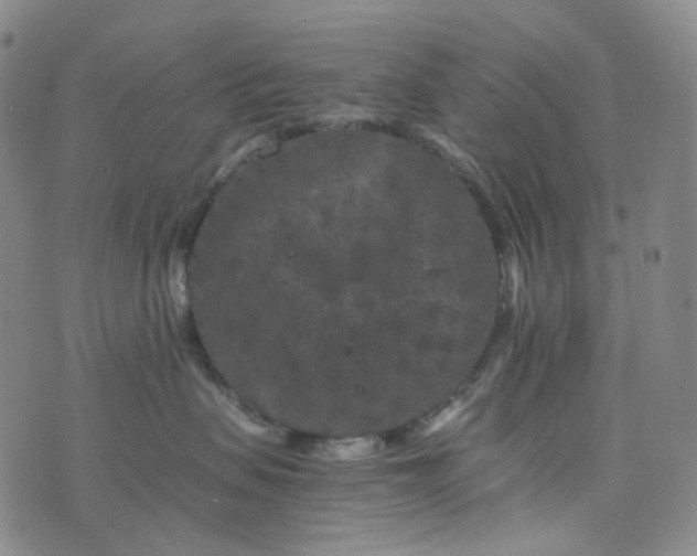 X0000076450479200610202339