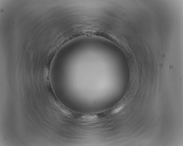 X0000076450480200610202339