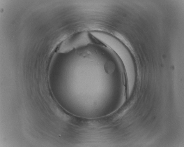 X0000076450481200610202338