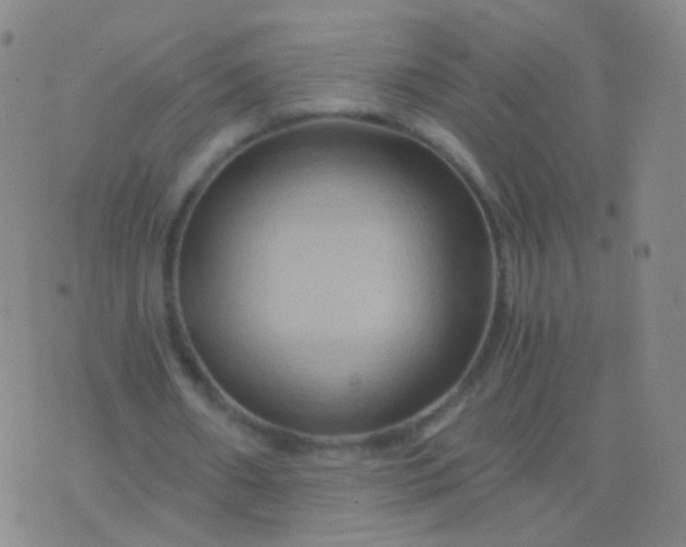 X0000076450482200610202338