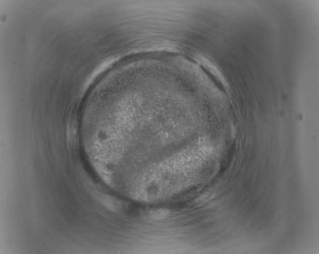 X0000076450483200610202338