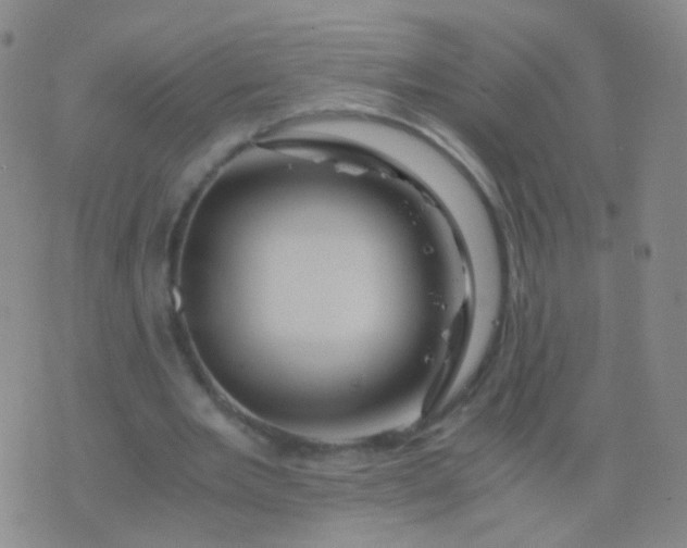 X0000076450485200610202338