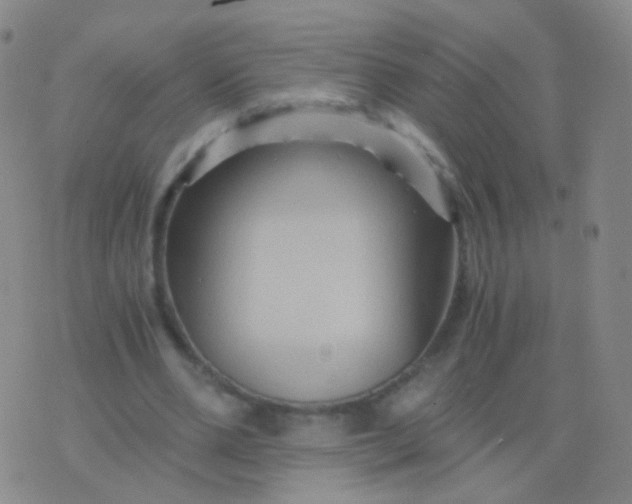 X0000076450486200610202338