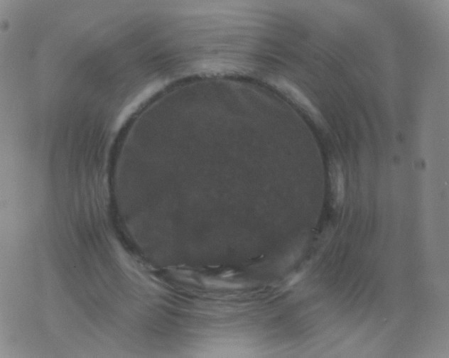 X0000076450488200610202338