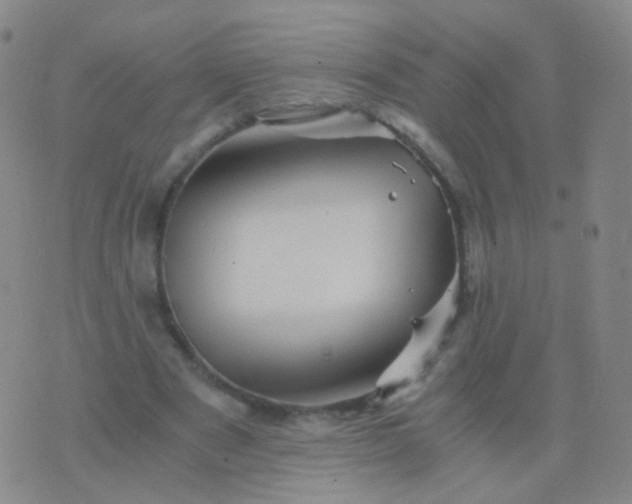 X0000076450489200610202338