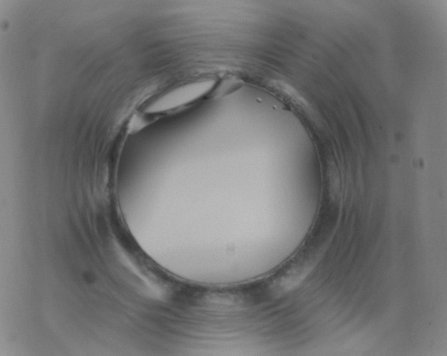 X0000076450490200610202338