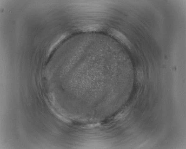 X0000076450491200610202338