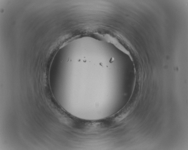 X0000076450497200610202338