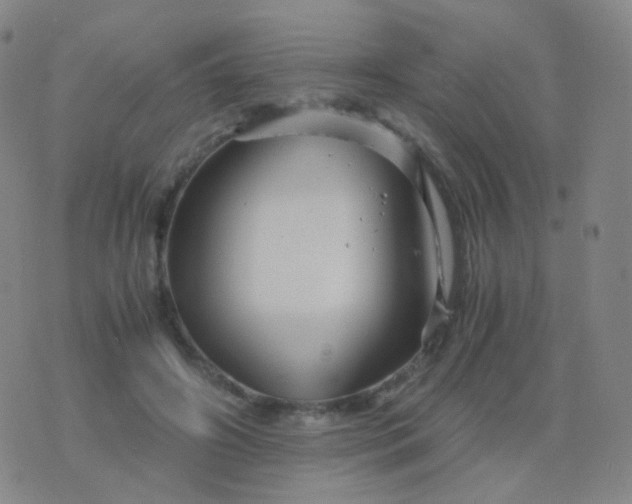 X0000076450498200610202338