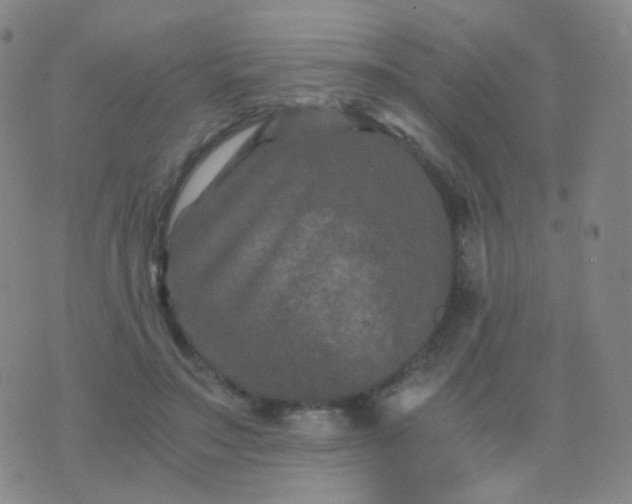 X0000076450499200610202338