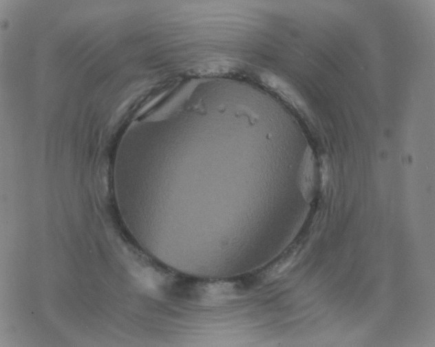 X0000076450501200610202338