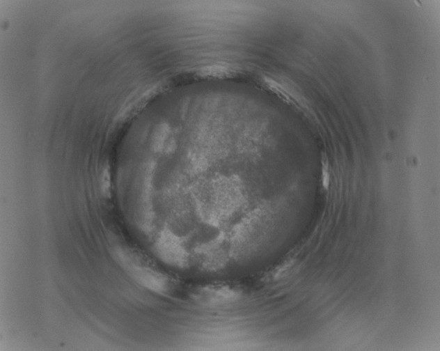 X0000076450502200610202338