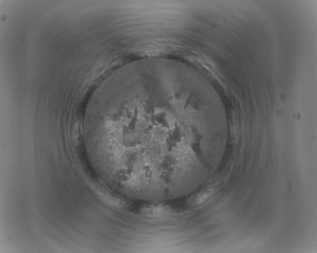 X0000076450503200610202338