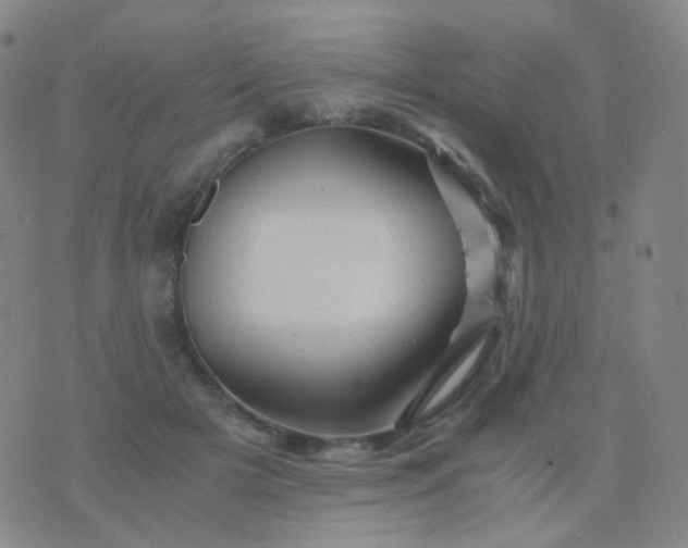 X0000076450505200610202338