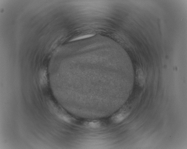 X0000076450506200610202338