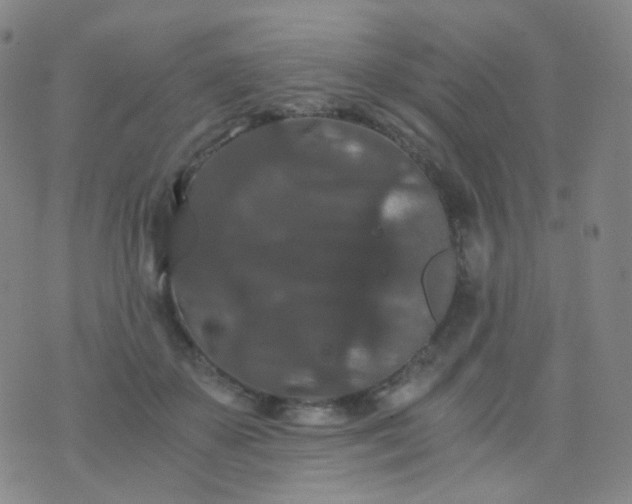 X0000076450507200610202338