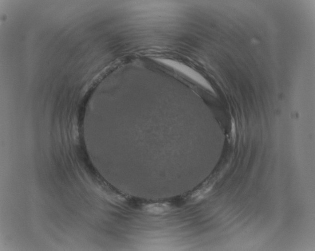 X0000076450508200610202338