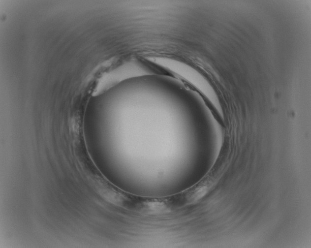 X0000076450509200610202338