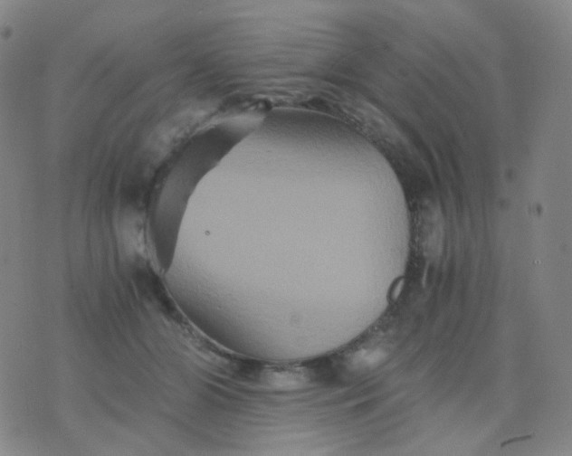 X0000076450510200610202338