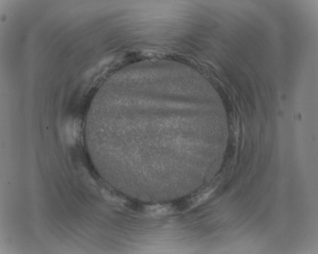 X0000076450511200610202338