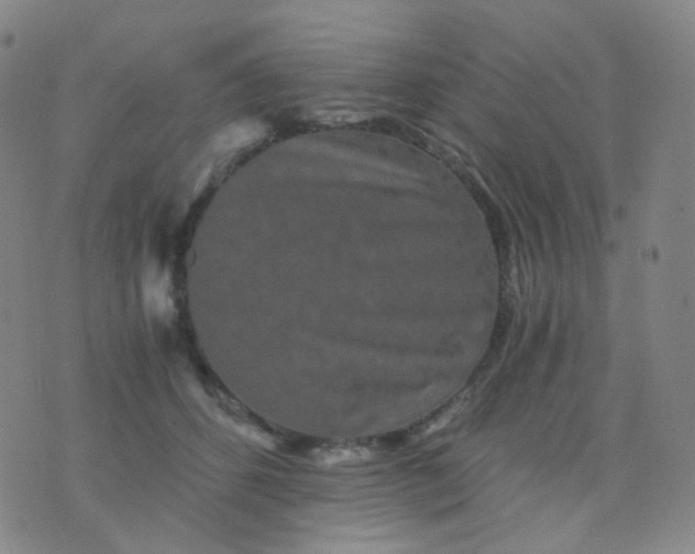 X0000076450512200610202338