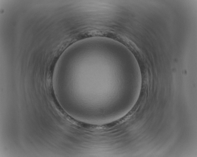 X0000076450513200610202338