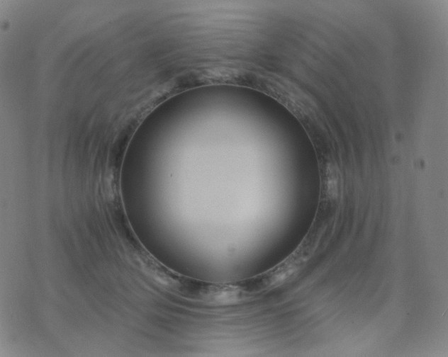 X0000076450514200610202338