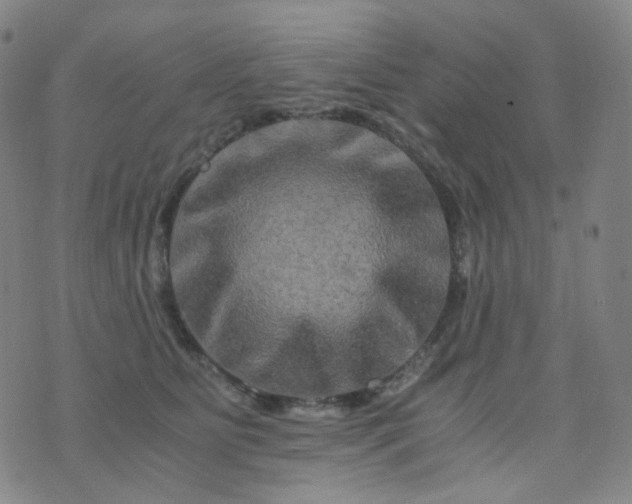 X0000076450515200610202338