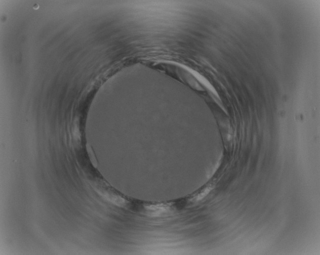 X0000076450516200610202338