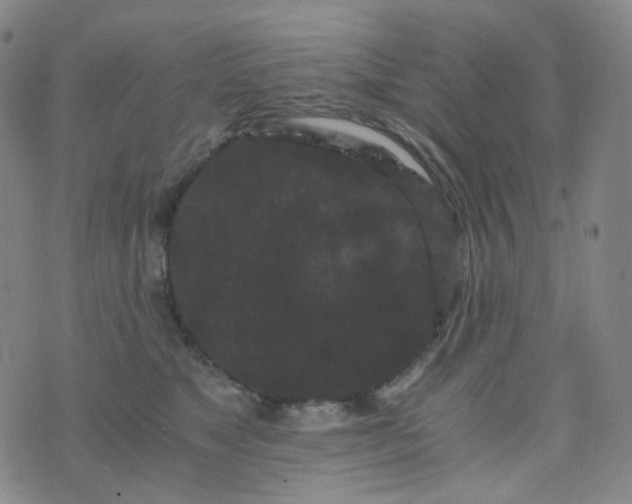 X0000076450517200610202338